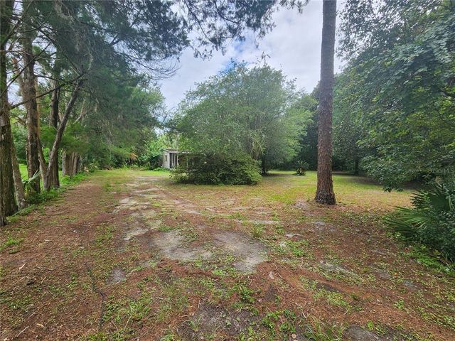 32124 HOLOPAW TRAIL, Sorrento, FL 32776