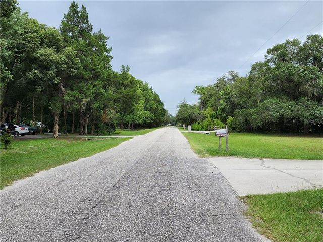 32124 HOLOPAW TRAIL, Sorrento, FL 32776