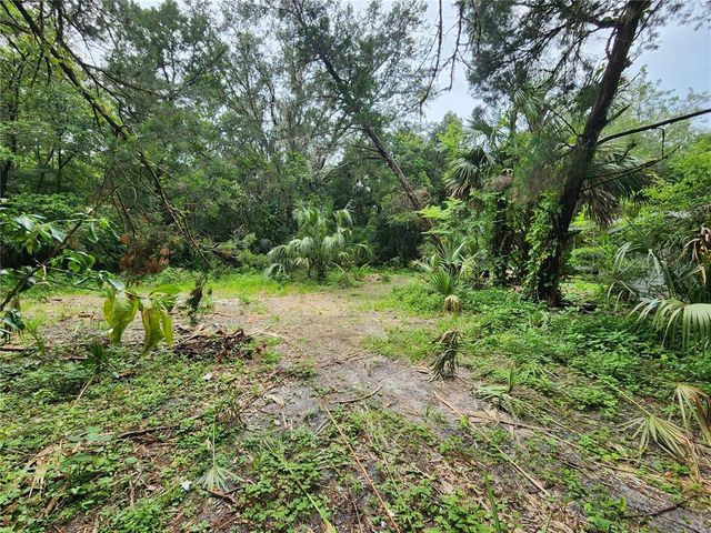 32124 HOLOPAW TRAIL, Sorrento, FL 32776