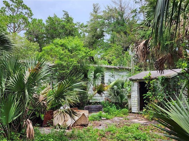 32124 HOLOPAW TRAIL, Sorrento, FL 32776