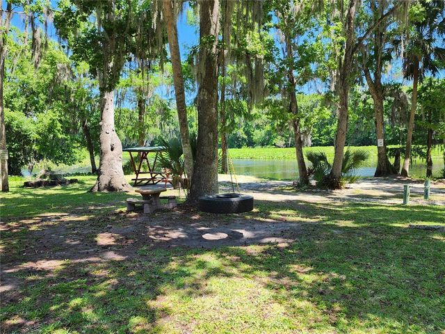 32124 HOLOPAW TRAIL, Sorrento, FL 32776