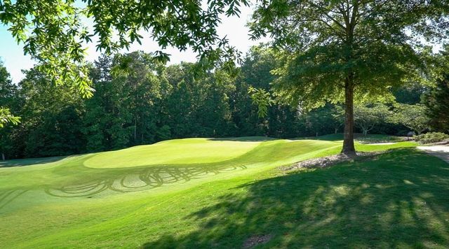 3565 Granton Street, Alpharetta, GA 30004