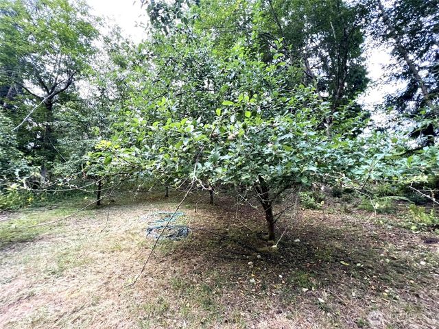 3910 E Harstine Island Road S, Shelton, WA 98584