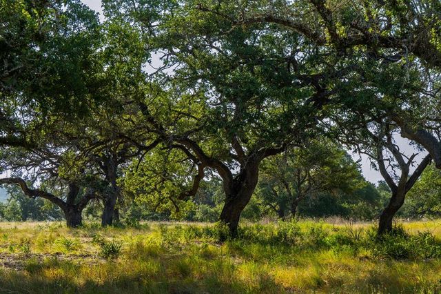 Lot 10 Tuscany DR, Driftwood, TX 78619