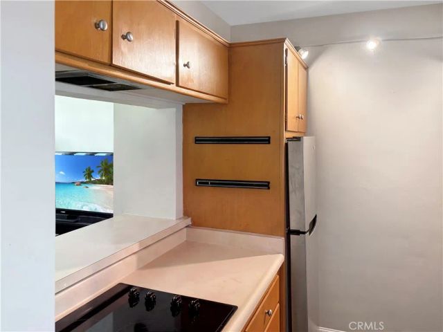 245 Aster 14, Laguna Beach, CA 92651