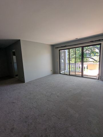 1470 WILLIAMSBURG Drive D2, Schaumburg, IL 60193
