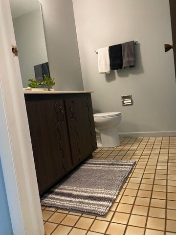 1470 WILLIAMSBURG Drive D2, Schaumburg, IL 60193