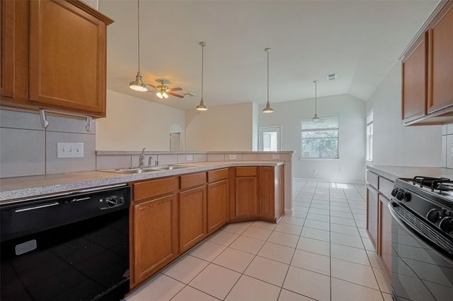 21406 Rioja Bluff Lane, Katy, TX 77449