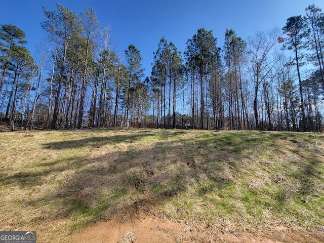 35 Heyman Drive 85, Covington, GA 30016