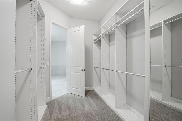 31999 WATOGA LOOP, Wesley Chapel, FL 33543