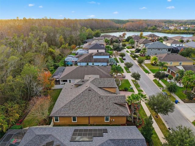 31999 WATOGA LOOP, Wesley Chapel, FL 33543