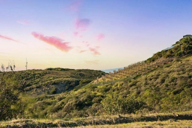 18180 Cerro Del Sol, Rancho Santa Fe, CA 92067