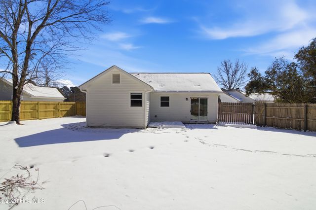 3309 Needle Rush Court, Castle Hayne, NC 28429