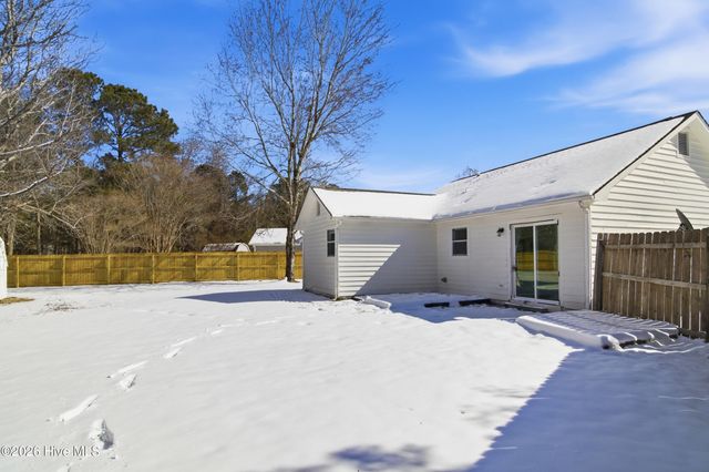 3309 Needle Rush Court, Castle Hayne, NC 28429