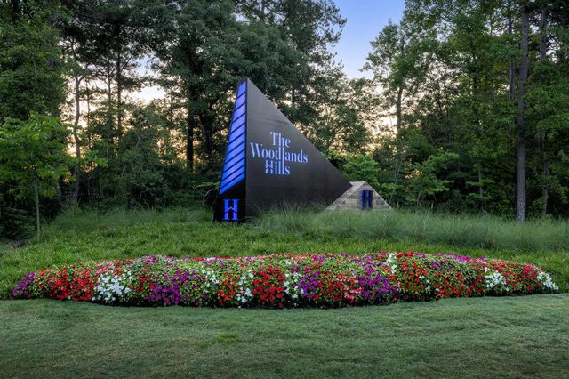 239 Nancy Lou Lane, Willis, TX 77318