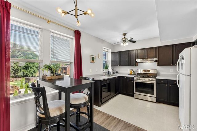 2253 Klemm C, St Louis, MO 63110