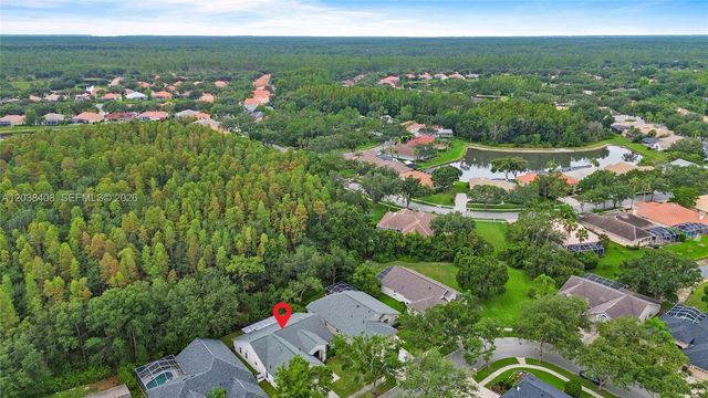 10217 Timberland Point Drive, Tampa, FL 33647