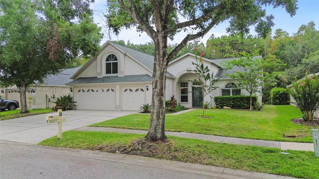 10217 Timberland Point Drive, Tampa, FL 33647