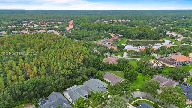 10217 Timberland Point Drive, Tampa, FL 33647