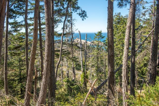 34601 S Highway 1, Gualala, CA 95445