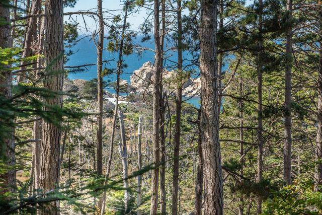 34601 S Highway 1, Gualala, CA 95445