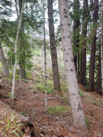 34601 S Highway 1, Gualala, CA 95445