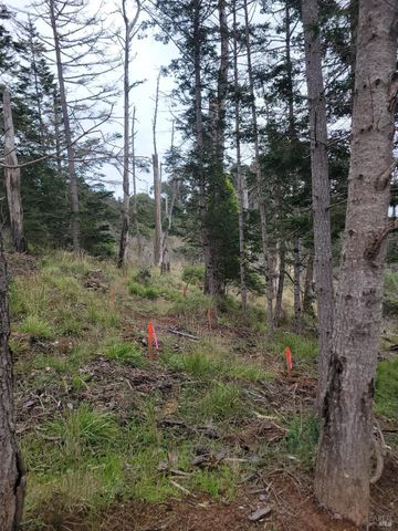 34601 S Highway 1, Gualala, CA 95445