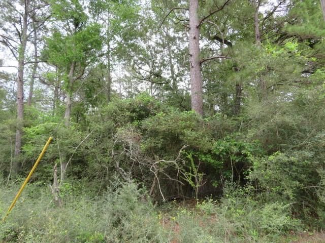 23110 Glenmont Estates Boulevard, Magnolia, TX 77355