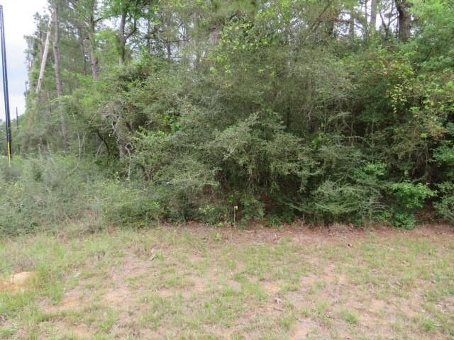 23110 Glenmont Estates Boulevard, Magnolia, TX 77355