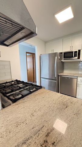 2819 S quinn Street, Chicago, IL 60608