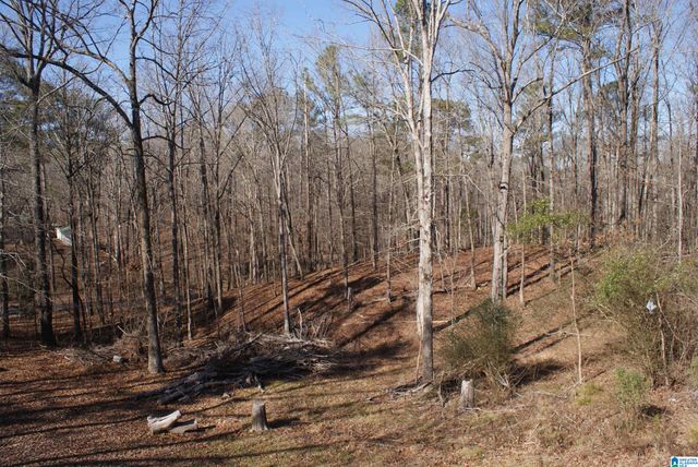 3965 BLACK HAWK DRIVE, Bessemer, AL 35022