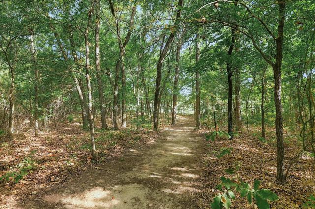 230 Frosty Hollow Road, Denison, TX 75021