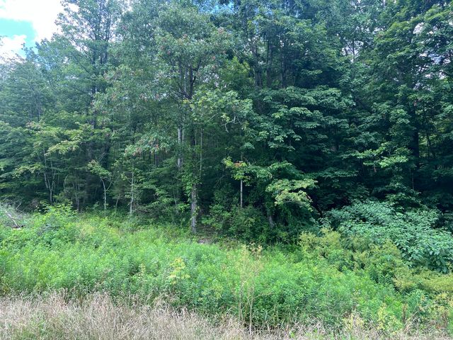 9999 White Oak Road, Junction City, KY 40440