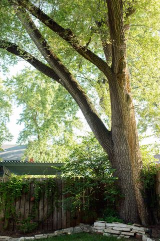 384 E Beck Street, Columbus, OH 43206