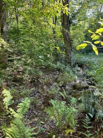 0 Rupert Road, Sandgate, VT 05250