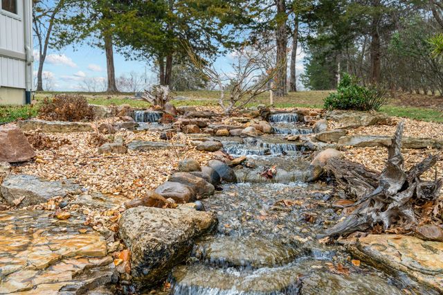 626 Gray Fox Road, Blue Eye, MO 65611