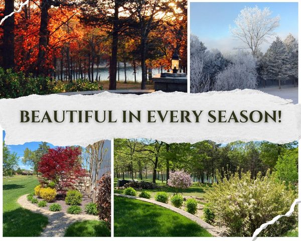 626 Gray Fox Road, Blue Eye, MO 65611