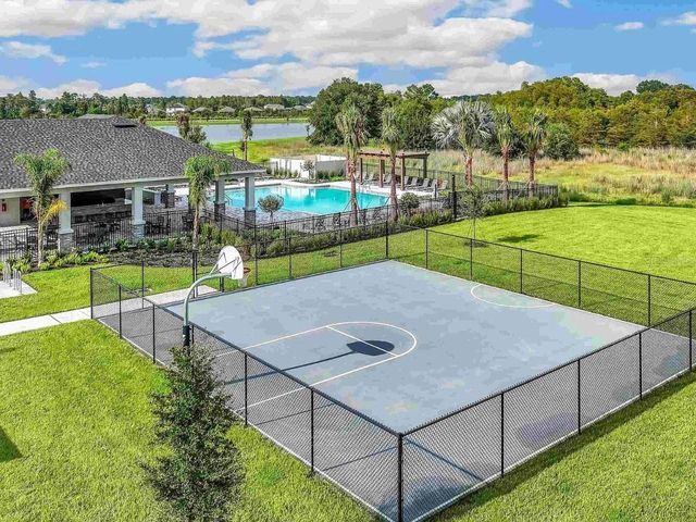 17269 BIGLEAF MAHOGANY LANE, Land O Lakes, FL 34638