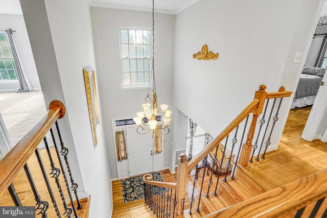 3444 WASHINGTON DR, Falls Church, VA 22041