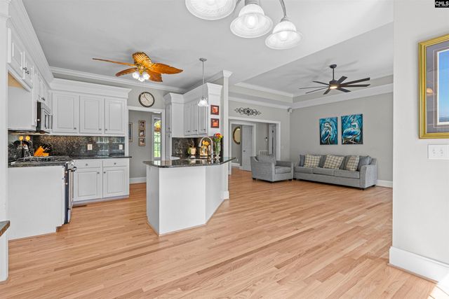 410 Highwater Court, Chapin, SC 29036