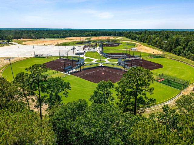 11414 Oak Springs Dr, Willis, TX 77378