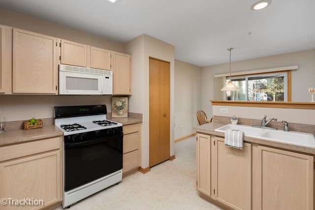 13818 S Bristlecone Lane D, Plainfield, IL 60544