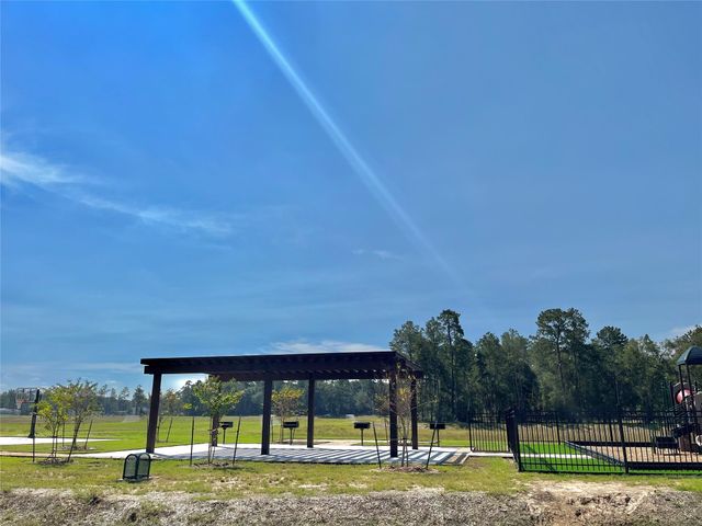 11645 Saltwell Court, Conroe, TX 77306