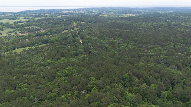 0 Rose Hill Road, Coldspring, TX 77331