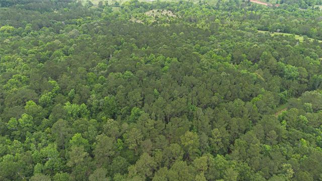 0 Rose Hill Road, Coldspring, TX 77331