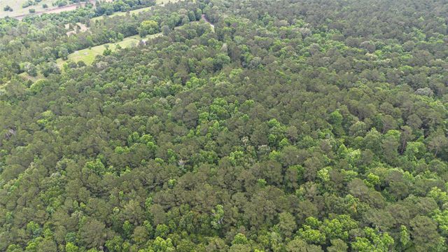 0 Rose Hill Road, Coldspring, TX 77331