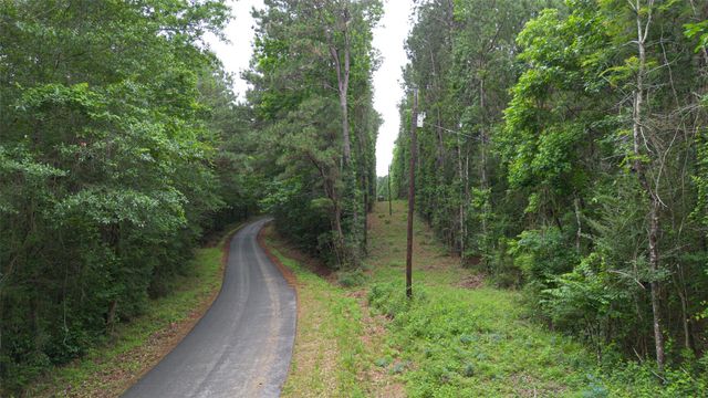 0 Rose Hill Road, Coldspring, TX 77331