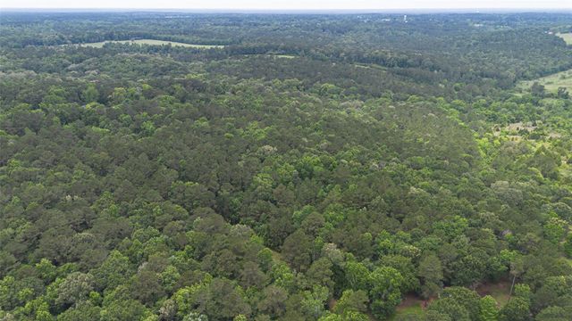 0 Rose Hill Road, Coldspring, TX 77331