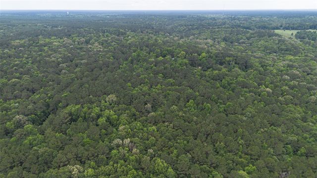 0 Rose Hill Road, Coldspring, TX 77331