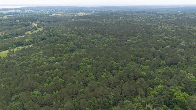 0 Rose Hill Road, Coldspring, TX 77331